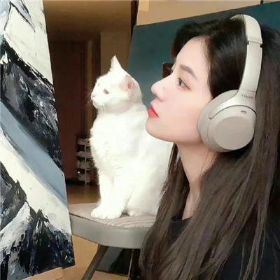 红色尾翼